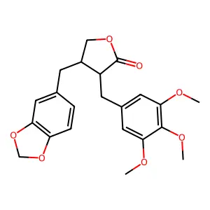 雅亭 structure