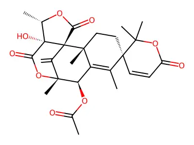 Austin structure