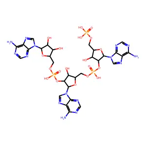 2',5'-Oligoadenylate structure