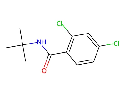N-tert-butyl-2,4-dichlorobenzamide structure