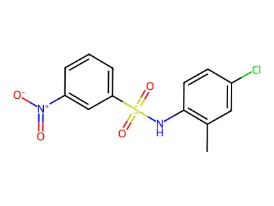 N-(4-chloro-2-methylphenyl)-3-nitrobenzenesulfonamide structure