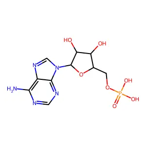 單磷酸腺苷 structure