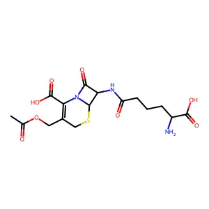 Cephalosporin C structure