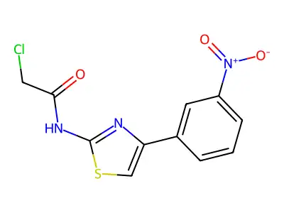 2-chloro-N-[4-(3-nitrophenyl)-1,3-thiazol-2-yl]acetamide structure