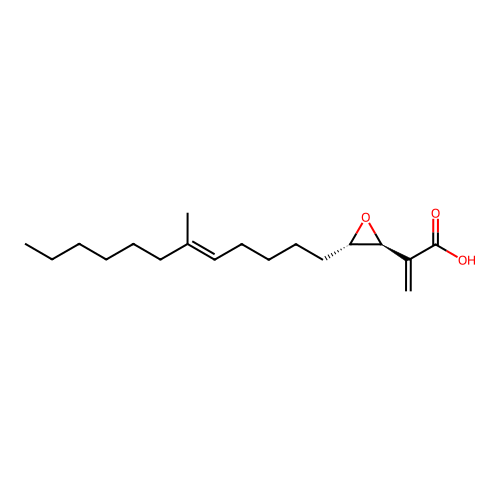 Conocandin structure