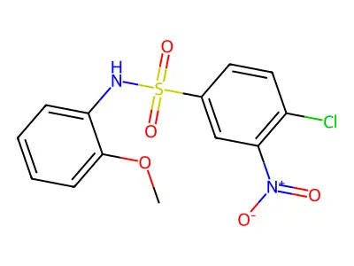 4-chloro-N-(2-methoxyphenyl)-3-nitrobenzenesulfonamide structure