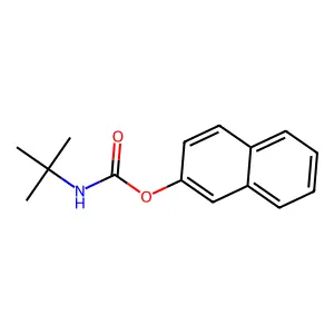 2-Naphthyl N-tert-butylcarbamate structure