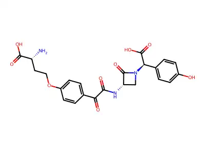 Nocardicin D structure