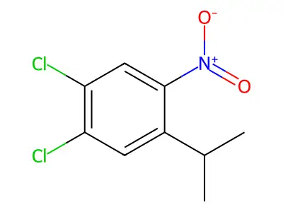 1,2-Dichloro-4-(isopropyl)-5-nitrobenzene structure