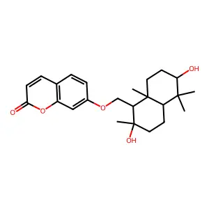 Nevskin structure