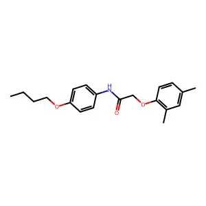 N-(4-butoxyphenyl)-2-(2,4-dimethylphenoxy)acetamide structure