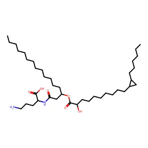 Ornithine lipid of Thiobaccillus Tiooxidans structure
