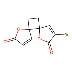 9-Bromo-4,7-dioxadispiro[4.0.4^{6}.2^{5}]dodeca-1,9-diene-3,8-dione structure
