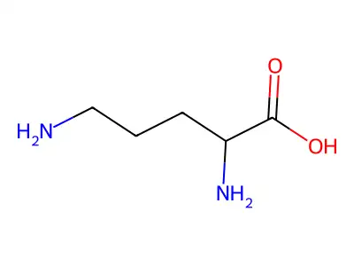 2,5-二氨基戊酸 structure