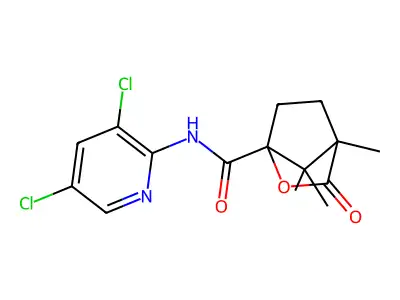 N-(3,5-dichloropyridin-2-yl)-4,7,7-trimethyl-3-oxo-2-oxabicyclo[2.2.1]heptane-1-carboxamide structure