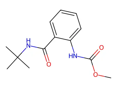 Methyl (2-(tert-butylcarbamoyl)phenyl)carbamate structure