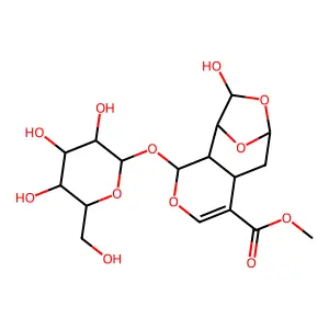 Secogalioside structure