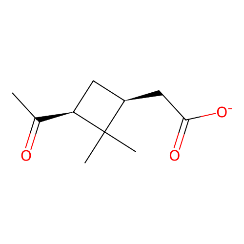 2-[(1S,3S)-3-acetyl-2,2-dimethylcyclobutyl]acetate structure