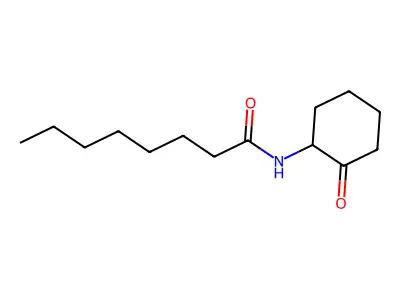 N-(2-Oxocyclohexyl)octanamide structure