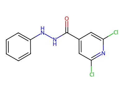 2,6-dichloro-N'-phenylisonicotinohydrazide structure