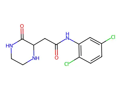 N-(2,5-dichlorophenyl)-2-(3-oxopiperazin-2-yl)acetamide structure