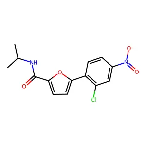 5-(2-chloro-4-nitrophenyl)-N-isopropylfuran-2-carboxamide structure