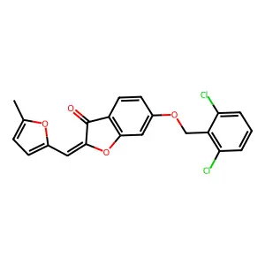 EiM08-00919 structure