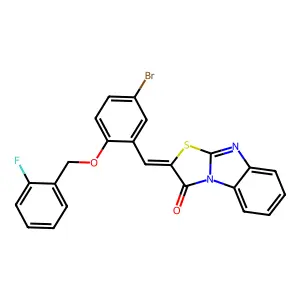 BIM-0009999.P001 structure