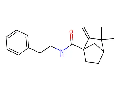 3,3-dimethyl-2-methylene-N-(2-phenylethyl)bicyclo[2.2.1]heptane-1-carboxamide structure