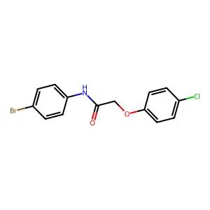 N-(4-Bromophenyl)-2-(4-chlorophenoxy)acetamide structure