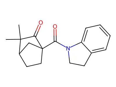 4-(2,3-Dihydroindole-1-carbonyl)-2,2-dimethylbicyclo[2.2.1]heptan-3-one structure