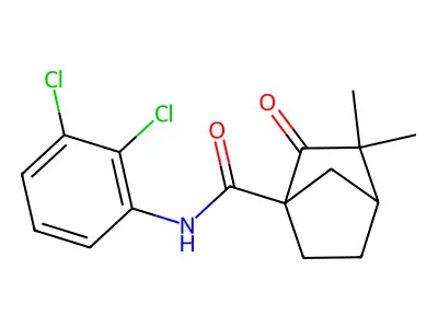 N-(2,3-dichlorophenyl)-3,3-dimethyl-2-oxobicyclo[2.2.1]heptane-1-carboxamide structure