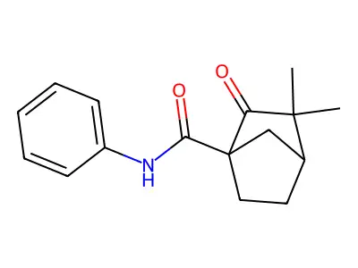 Bicyclo[2.2.1]heptane-1-carboxamide, 3,3-dimethyl-2-oxo-n-phenyl- structure