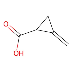 2-亚甲基环丙烷-1-甲酸 structure