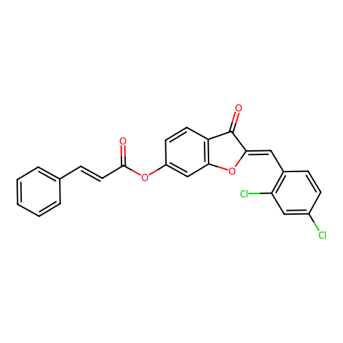 (2Z)-2-(2,4-dichlorobenzylidene)-3-oxo-2,3-dihydro-1-benzofuran-6-yl (2E)-3-phenylprop-2-enoate structure
