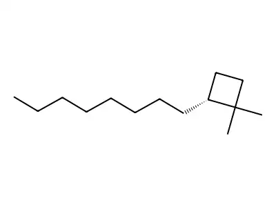 1,1-Dimethyl-2-octylcyclobutane structure