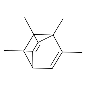 Bicyclo(2.2.2)octa-2,5-diene, 1,2,3,6-tetramethyl- structure