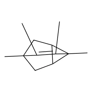 Tricyclo[3.2.1.02,7]oct-3-ene, 2,3,4,5-tetramethyl- structure