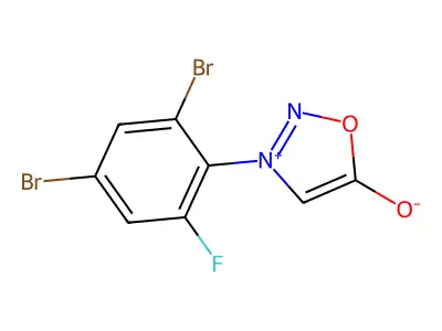 3-(2,4-Dibromo-6-fluorophenyl)sydnone structure