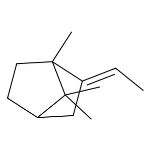 2-Ethylidene-1,7,7-trimethylbicyclo(2.2.1)heptane structure