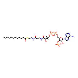 C33H58N7O17P3S structure