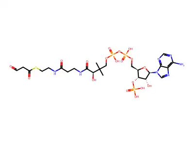 Malonyl-CoA semialdehyde structure