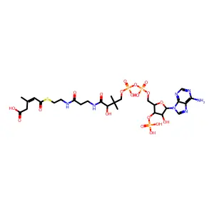 3-甲基戊烯二酰辅酶A structure