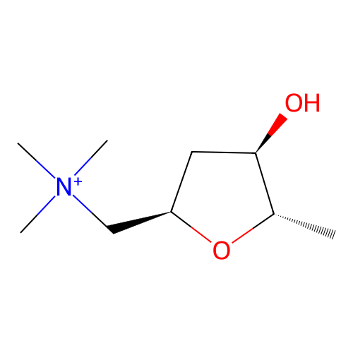 Allomuscarine structure
