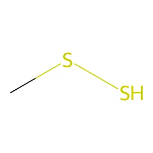 Methyl hydrodisulfide structure