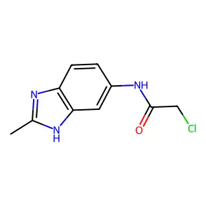 2-Chloro-N-(2-methyl-3H-benzoimidazol-5-yl)-acetamide structure