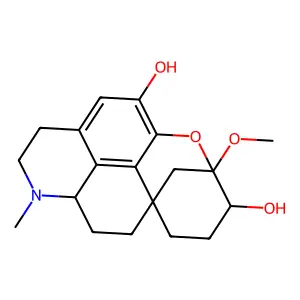 Kesselringen structure