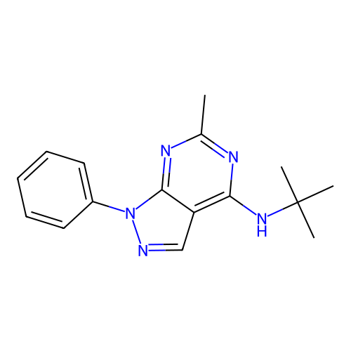 4-(Tert-butylamino)-6-methyl-1-phenyl-1H-pyrazolo[3,4-D]pyrimidine structure