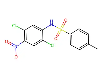 Benzenesulfonamide, N-(2,5-dichloro-4-nitrophenyl)-4-methyl- structure