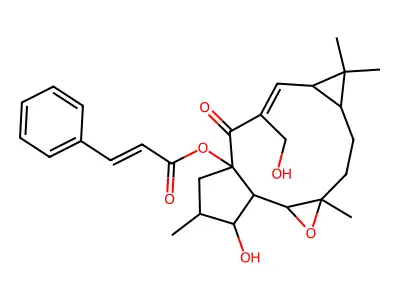 Jolkinol A structure